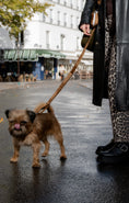 Charger l'image dans la visionneuse de la galerie, La laisse MARTIN