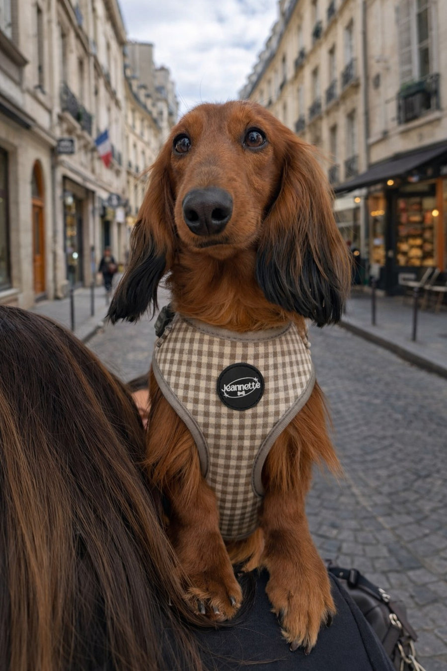 HENRI