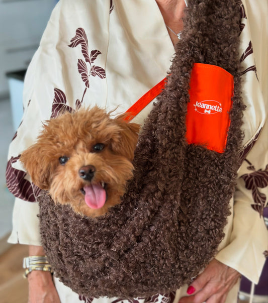Le sac de transport Albert