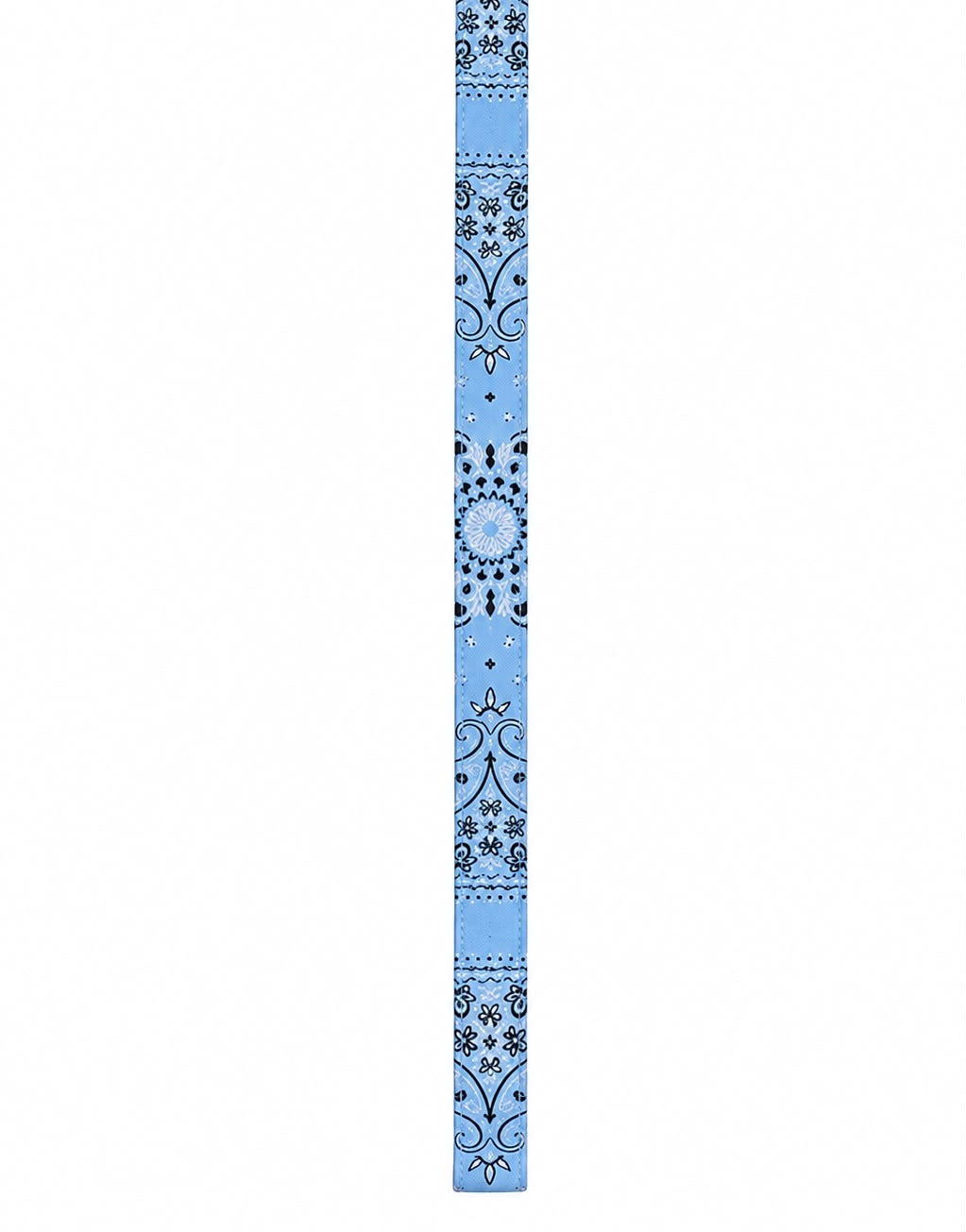 The JACQUES leash