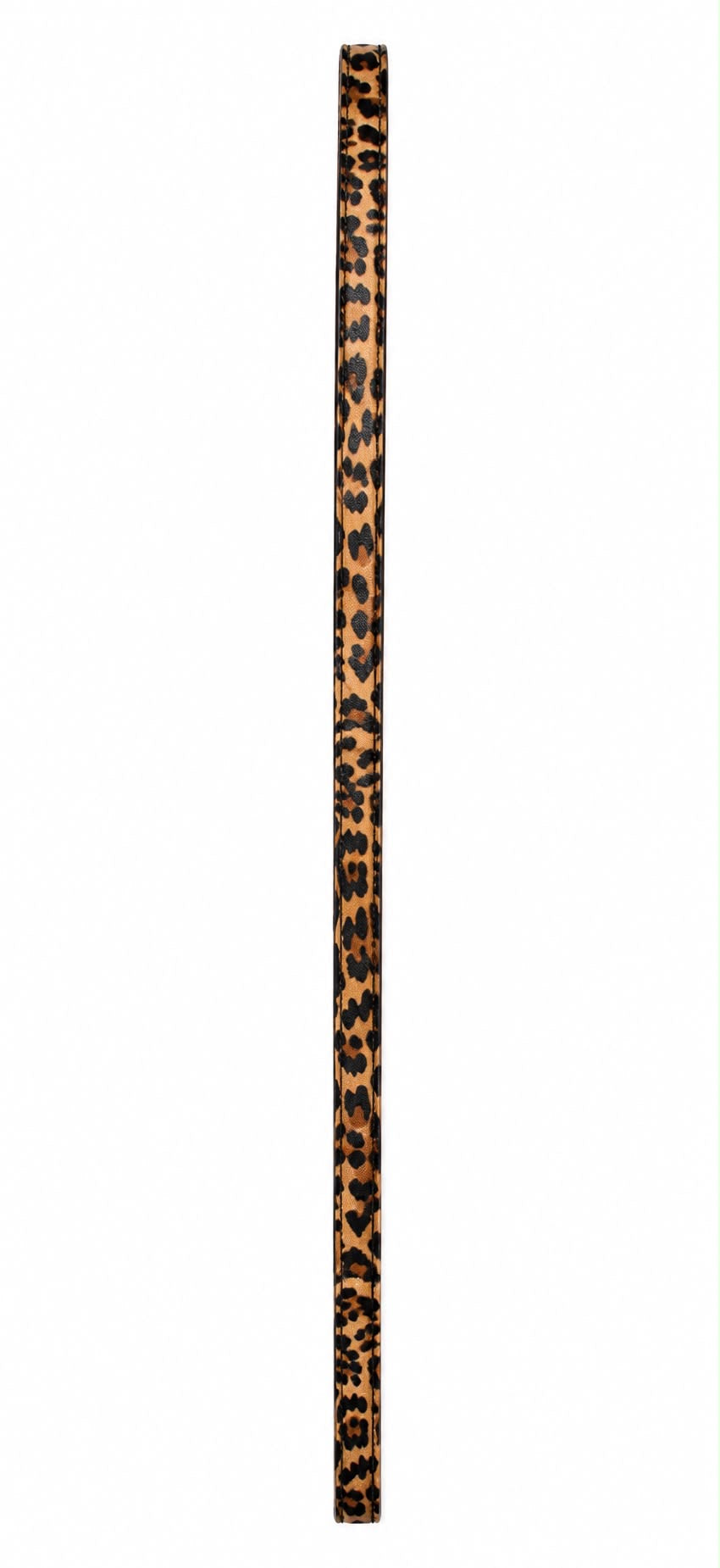 The ACHILLES leash