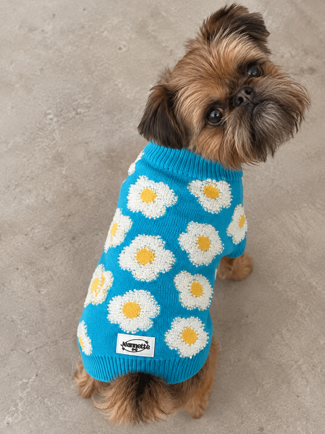 Le pull OSCAR