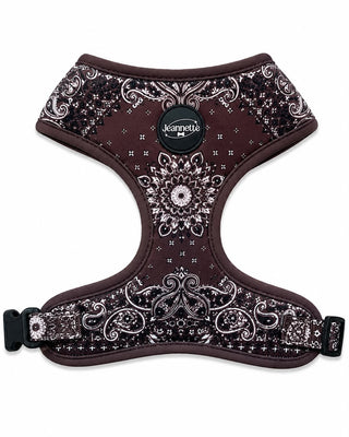 Le harnais JACQUES — XS / Marron