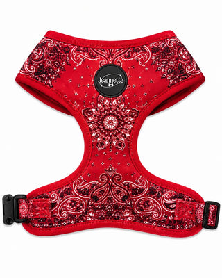 Le harnais JACQUES — XS / Rouge