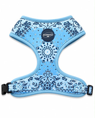Le harnais JACQUES — XS / Bleu