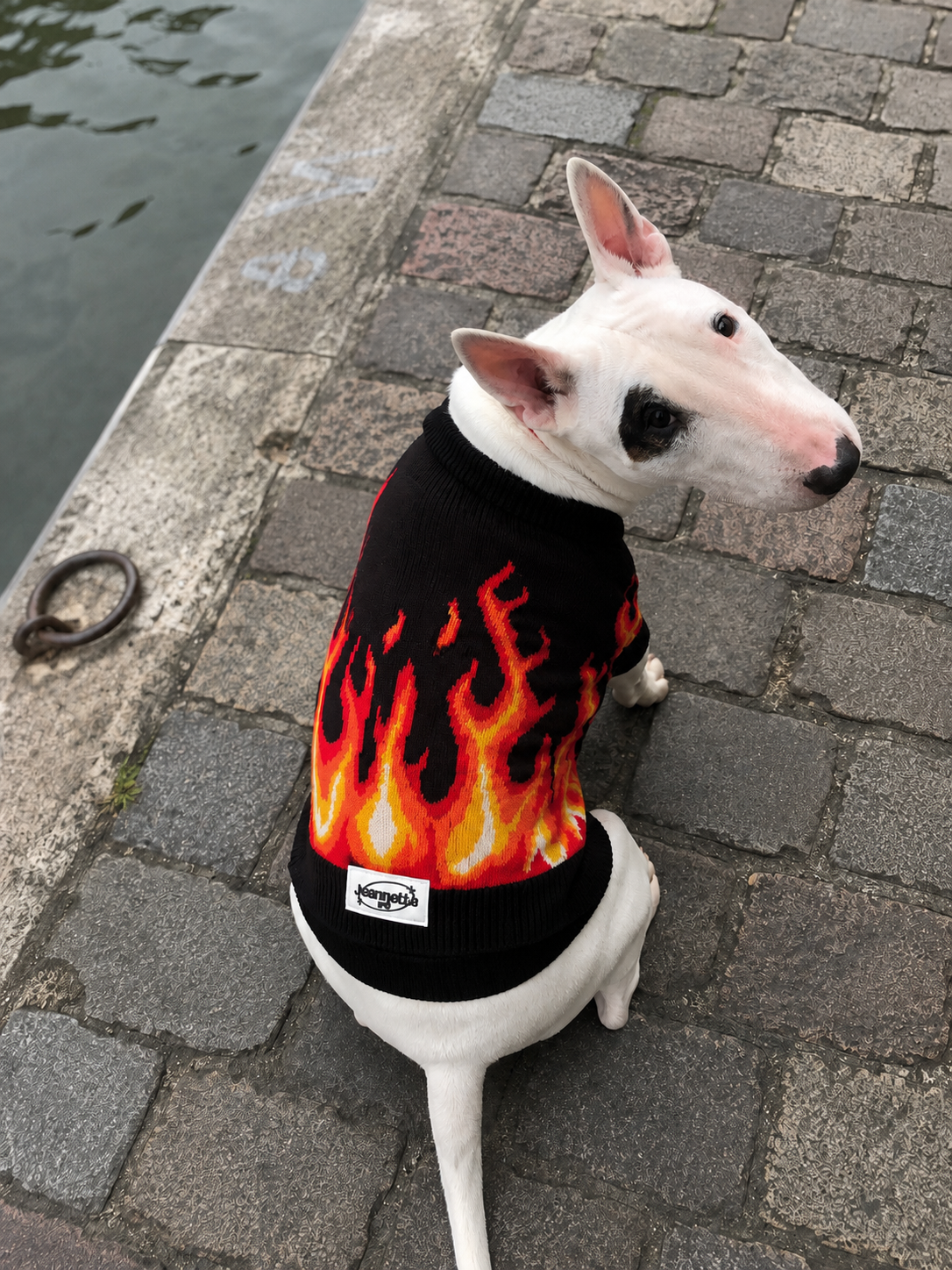 Le pull OSCAR