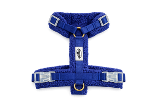 The GEORGES harness — Electric Blue / XS