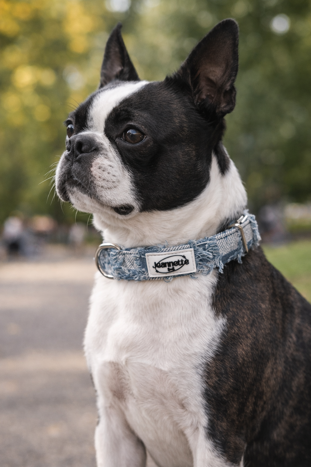 Le collier ALBERT