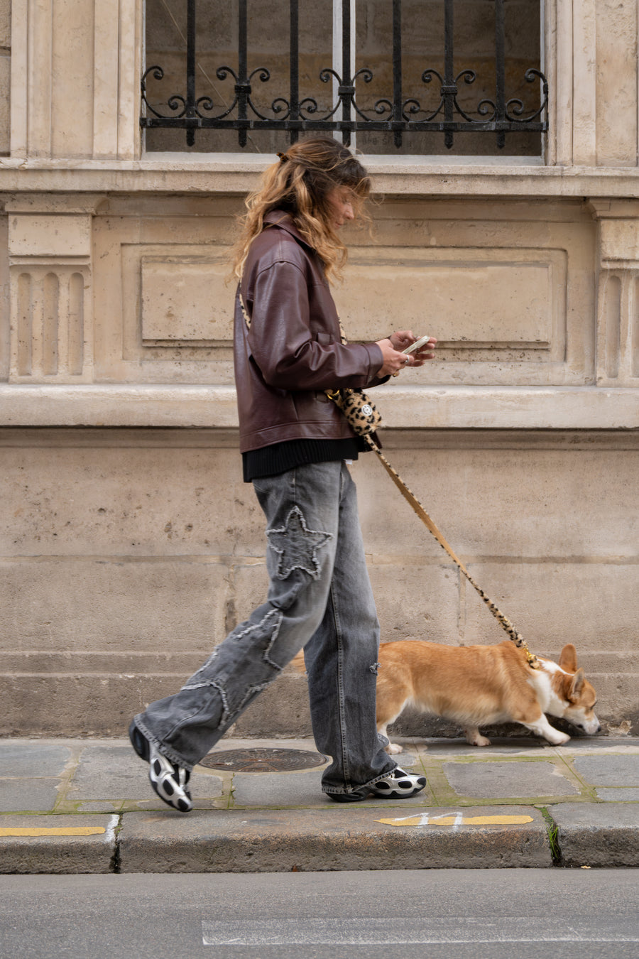 JEANNETTE — Paris — Pour chiens