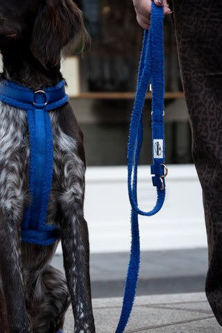 The GEORGES leash — Electric Blue