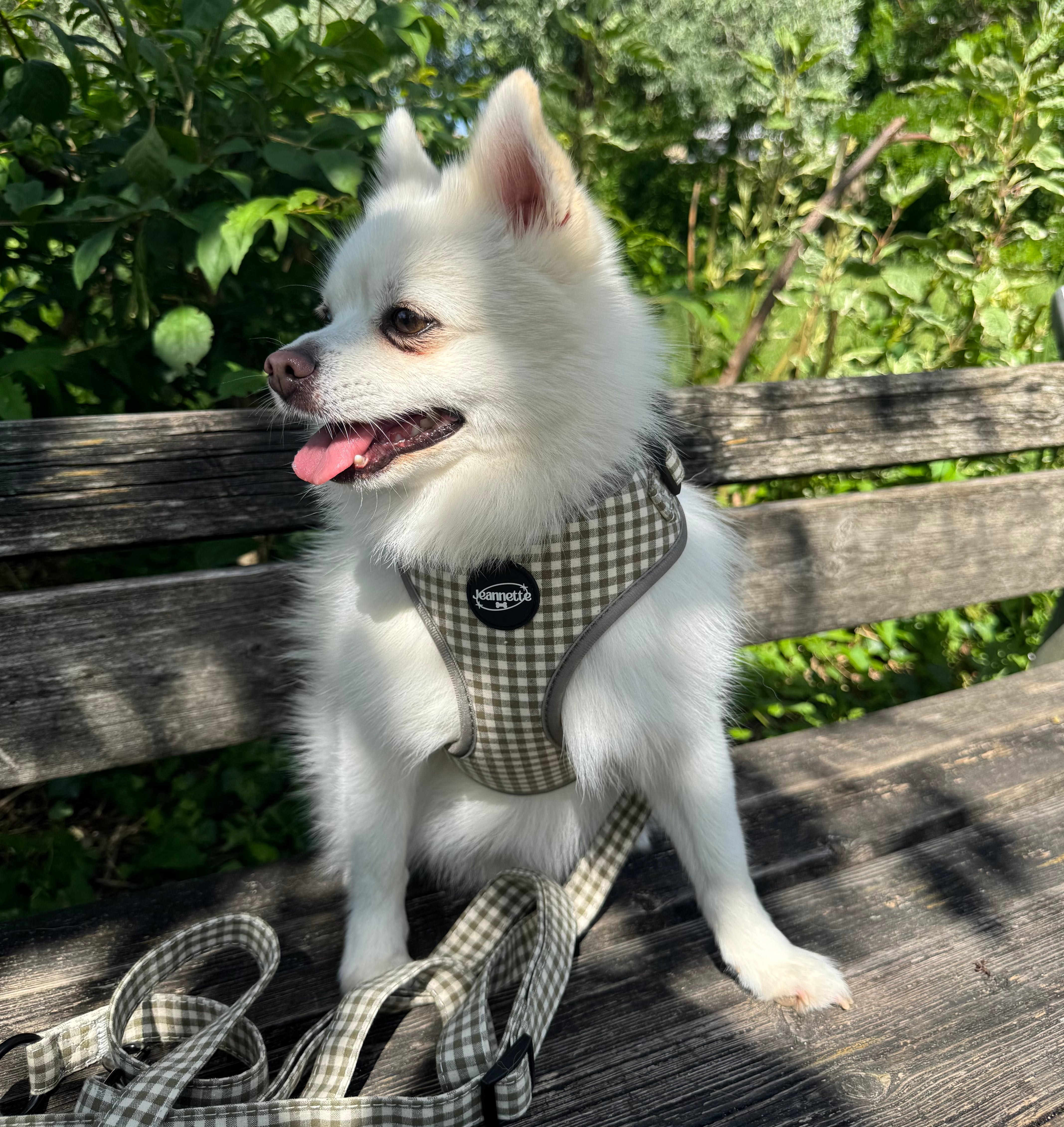 The HENRI harness
