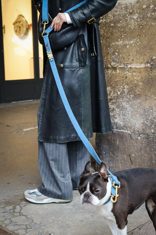 The ACHILLES leash — Denim / Tissu