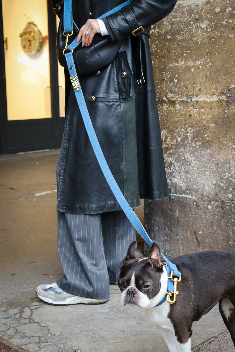 The ACHILLES leash