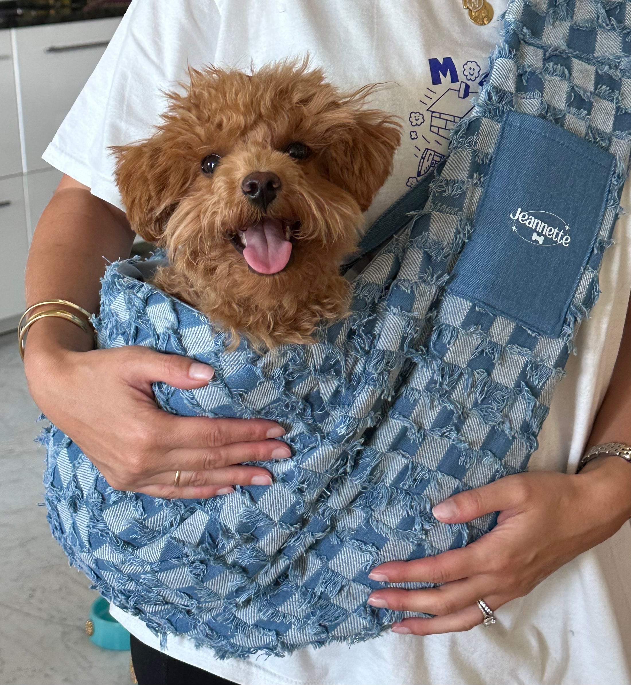 Le sac de transport Albert