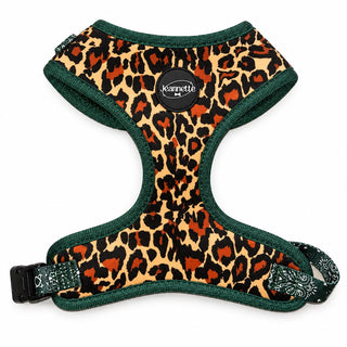 Le harnais JACQUES — XS / Léopard & Bandana vert
