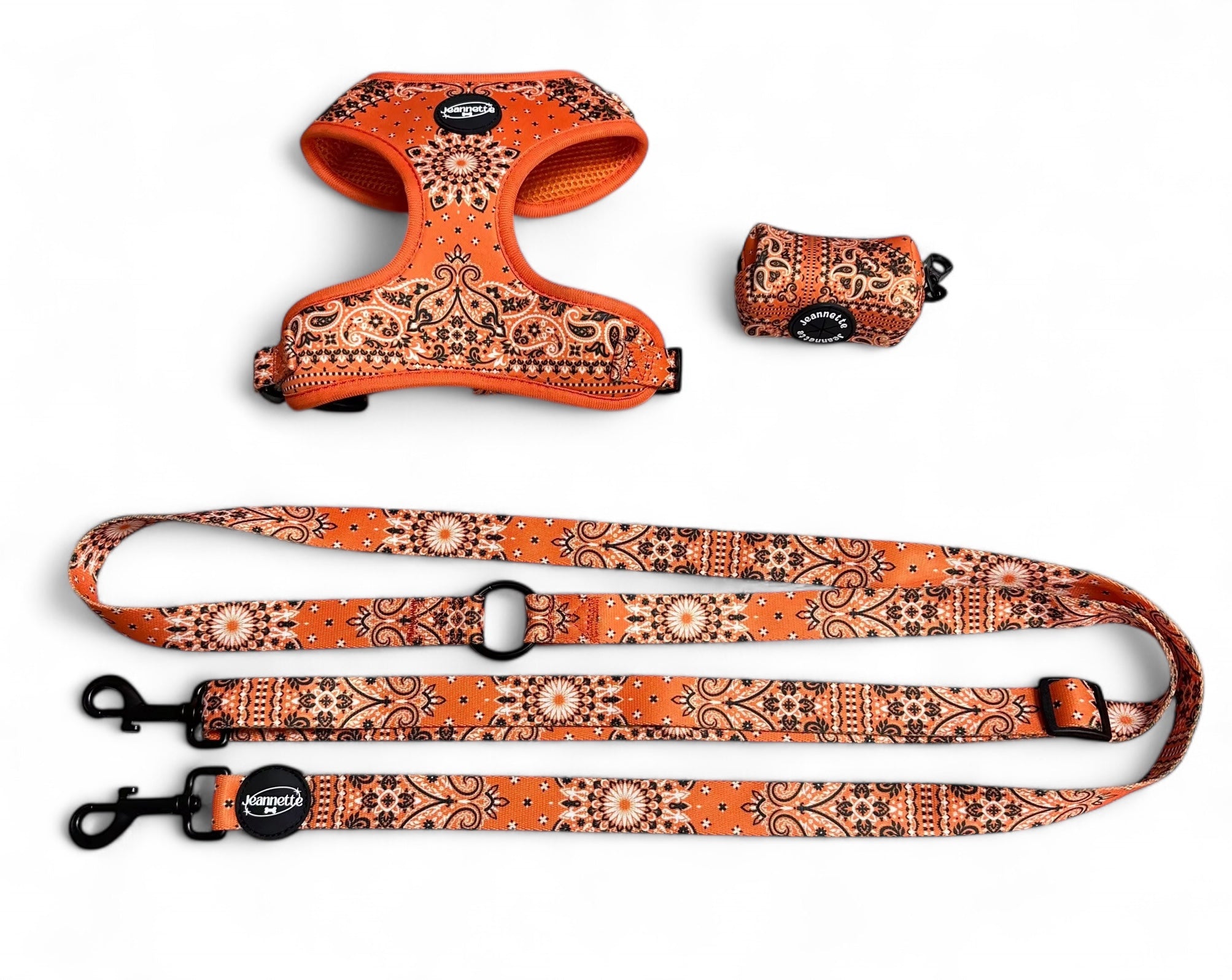 The JACQUES leash