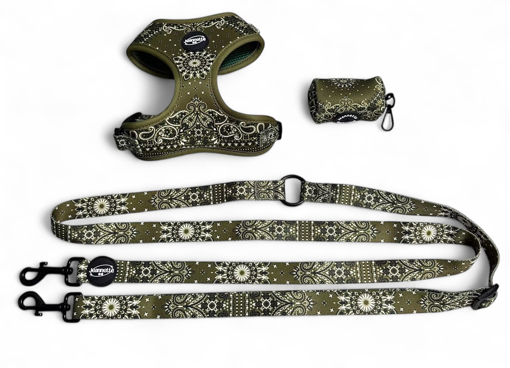 The JACQUES leash