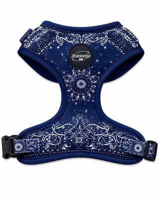 Le harnais JACQUES — XS / Marine