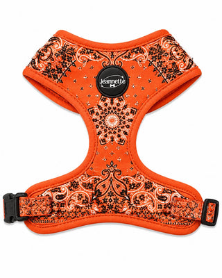 The JACQUES harness — XS / Orange