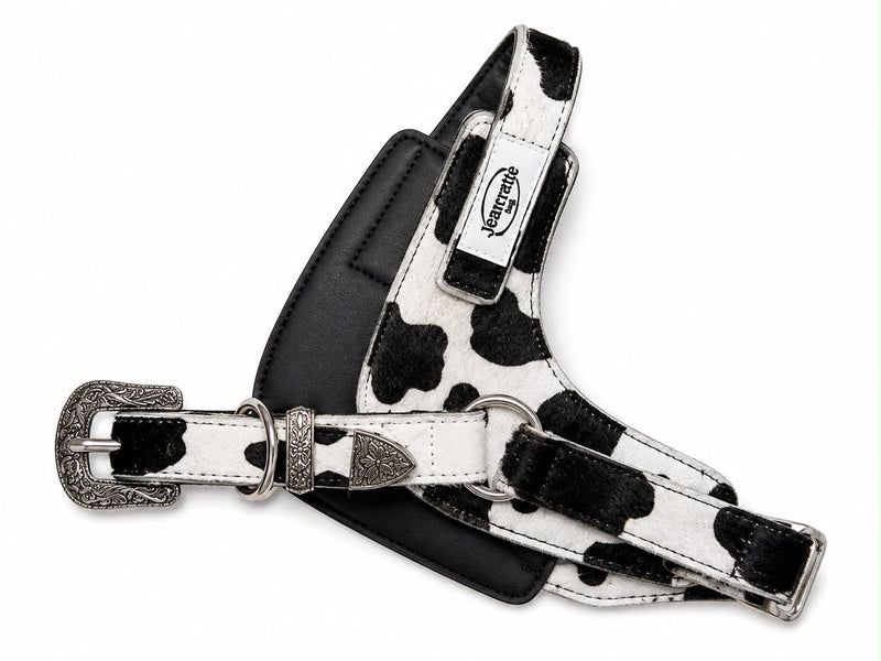 The MARTIN harness