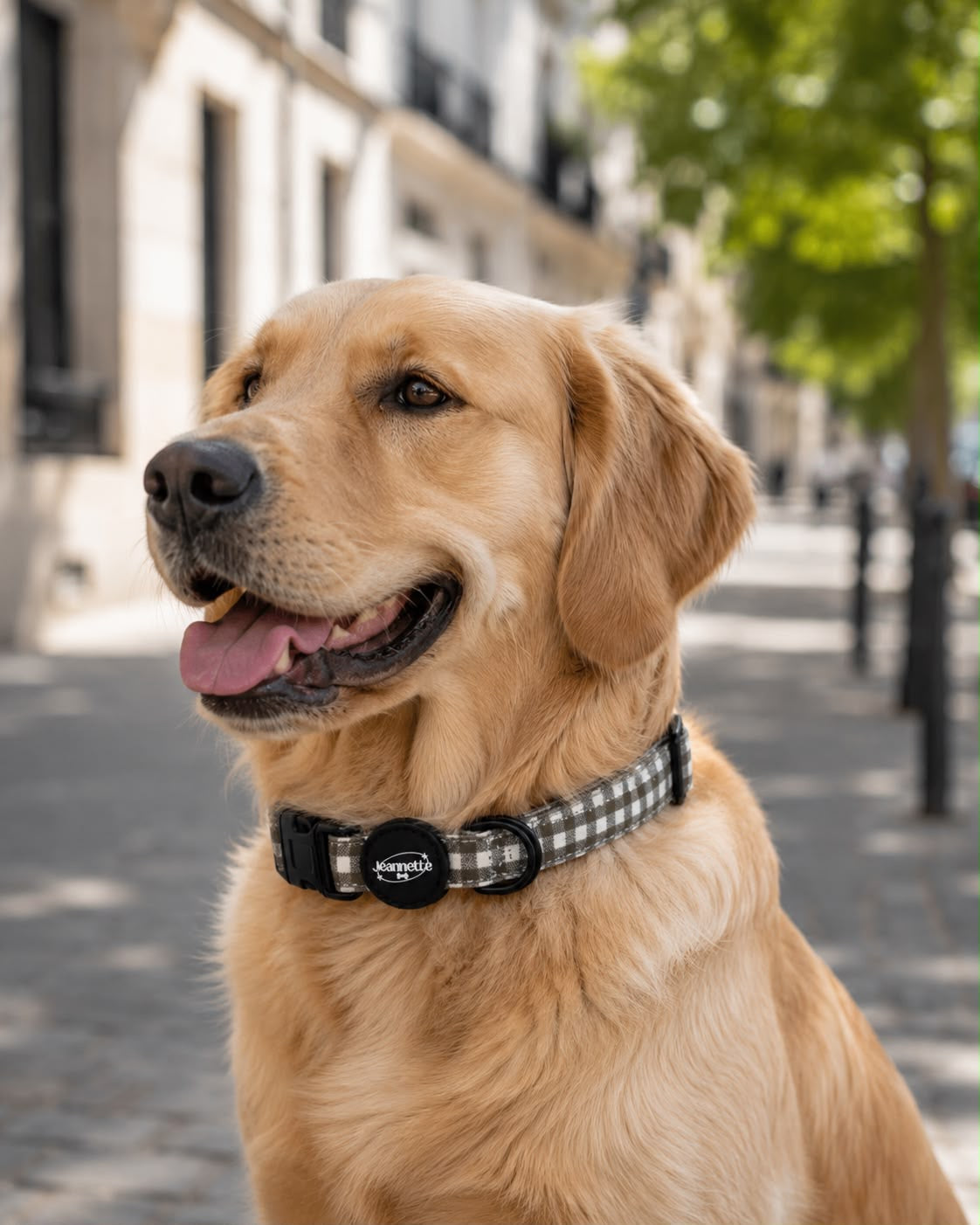 Le collier HENRI
