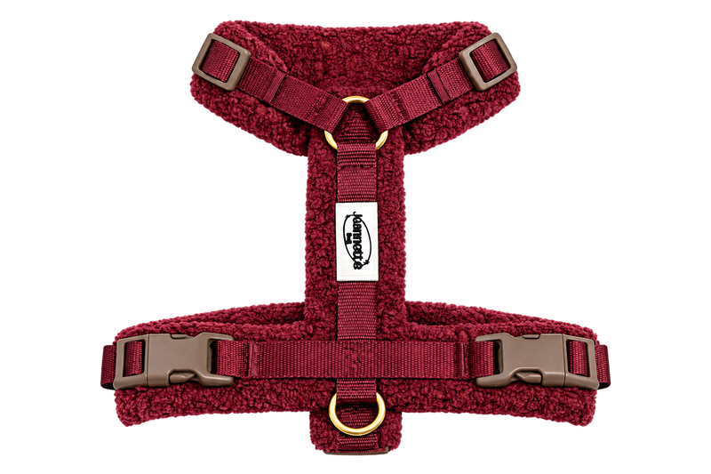 The GEORGES harness