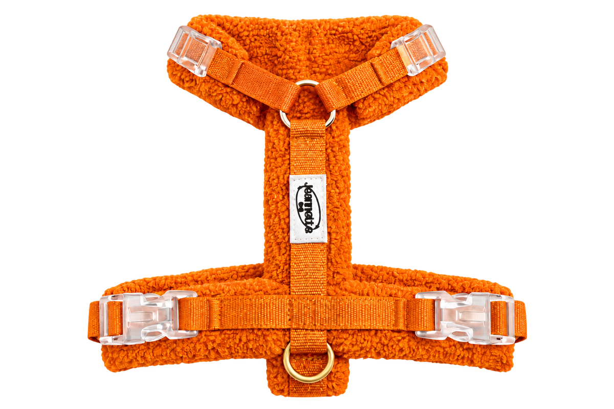Harnais GEORGES Orange — vue produit détourée