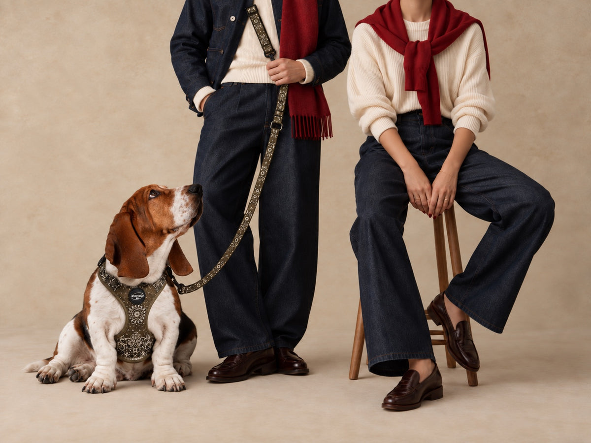 Jeannette Paris — ensemble Jacques porté avec chien