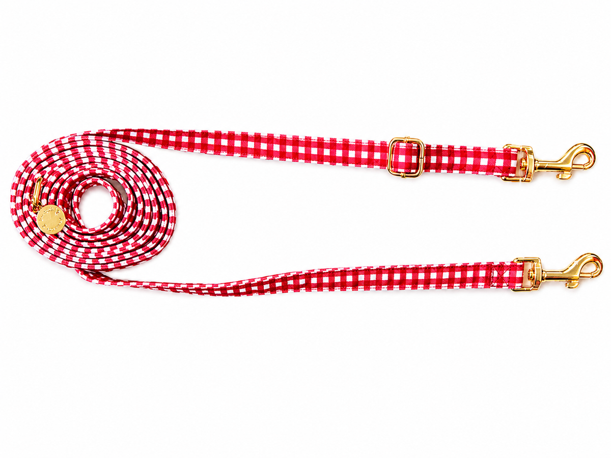 ACHILLE lead — Gingham