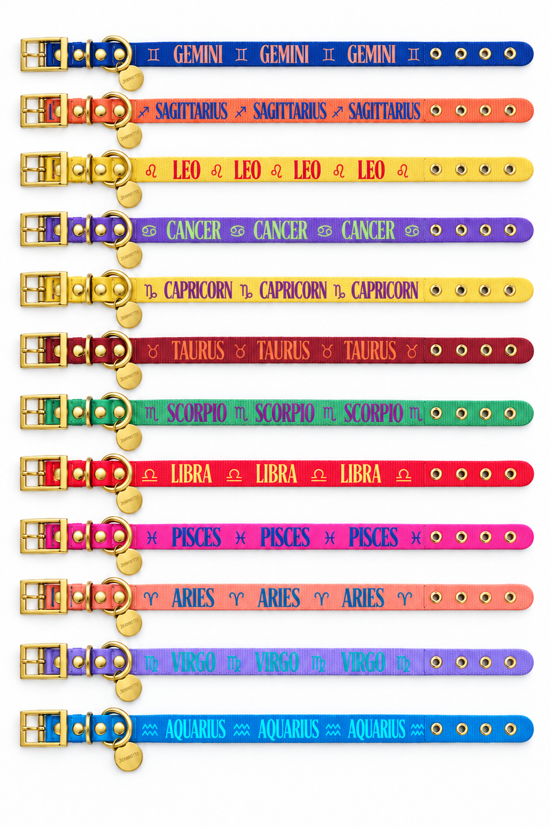 The ZODIAC necklace